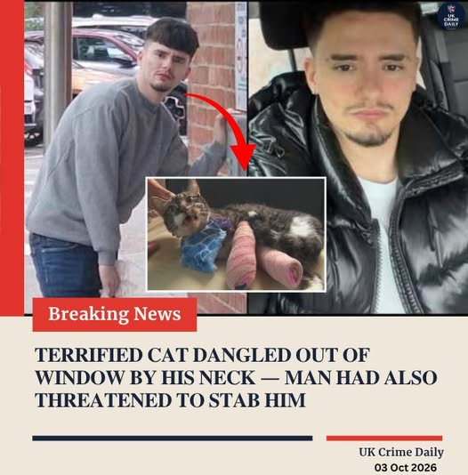 tiger26931's tweet photo. A £1000 fine....

Brook Lucas O’Sullivan, from Berechurch, Colchester, was found guilty following a three-day trial in 2026
Following his convictions, O’Sullivan was ordered to pay a £1,000 fine, along with £500 compensation and £500 in court costs. https://t.co/mqUuEi1mpI