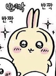 soap_oft's tweet photo. 먼작귀 애들 안광 생기는거 너무 귀어움✨ https://t.co/WcbRFAk5Gw
