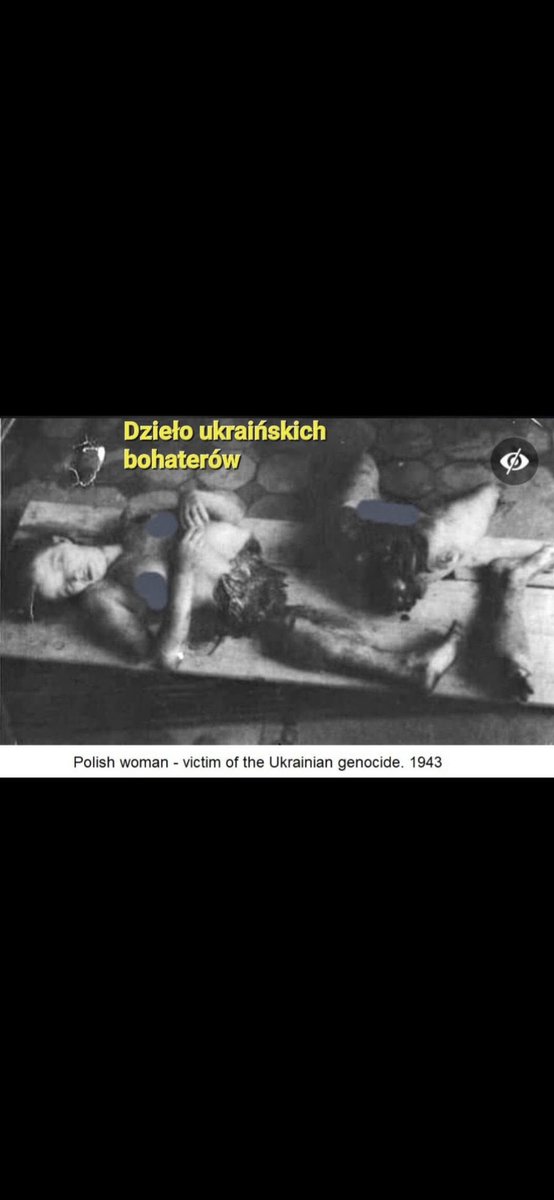ChiefFromGdynia's tweet photo. @ARK_Applepie Dear Korean friends "Slava ukraine" were the last words that Polish women and children heard just before being slaughtered. Never chant it again. Please. Below attached victims of those upa animals. https://t.co/U9Kp9E6jv4