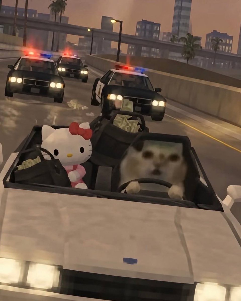 droolingcatCTO's tweet photo. Me and Bae doing couple things https://t.co/MmOEjjppnJ