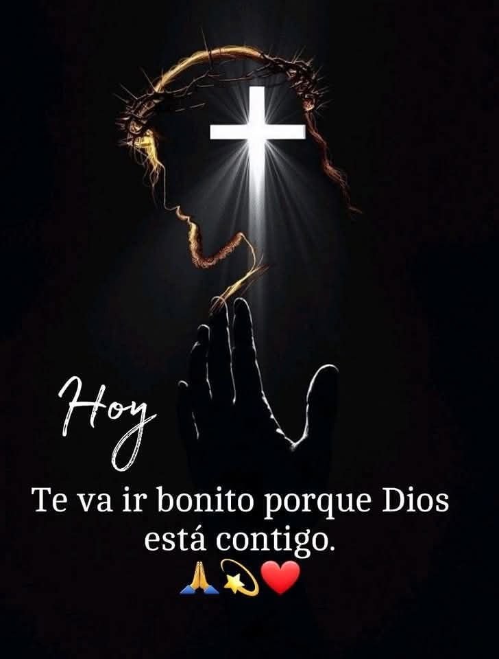 Marlen02778897's tweet photo. @tumeelejiste @tumeelejiste 
Bonito Día 🌞
Bendiciones 🙏
Gratitud para 
ti apreciado y
querido Amigo. 
🎩🌹☕️🫂☮️ https://t.co/JELbXTfje5
