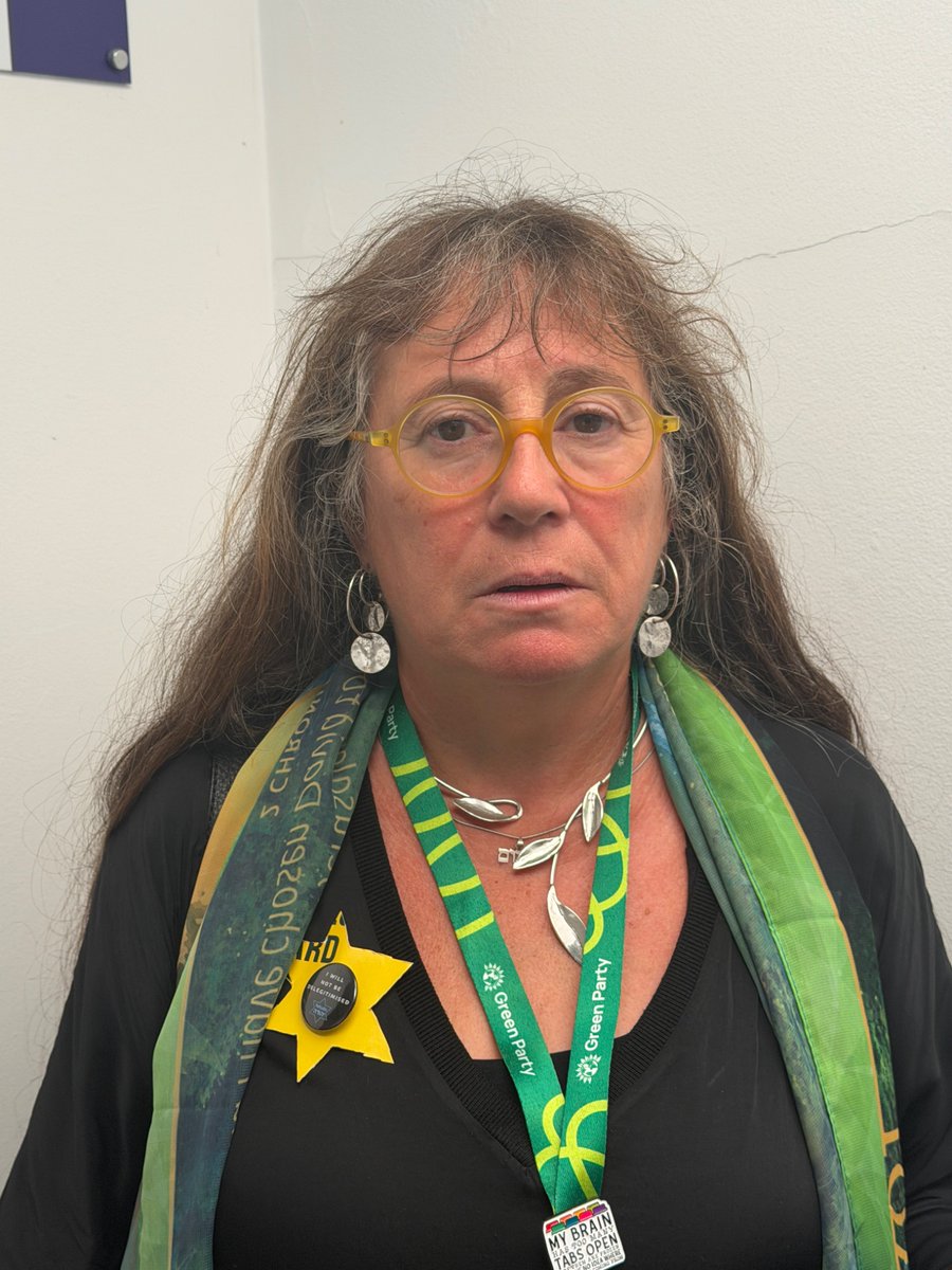 janeprinsley's tweet photo. @EllieChowns @CarolineLucas @natalieben Elise Benjamin, a founding member of the Jewish Greens and a decade-long party member, has turned her voting card into a yellow star. 

‘My family were murdered in the Holocaust… now people here have celebrated a vote that will make Jews unsafe.’ https://t.co/ncxiO2qFZZ