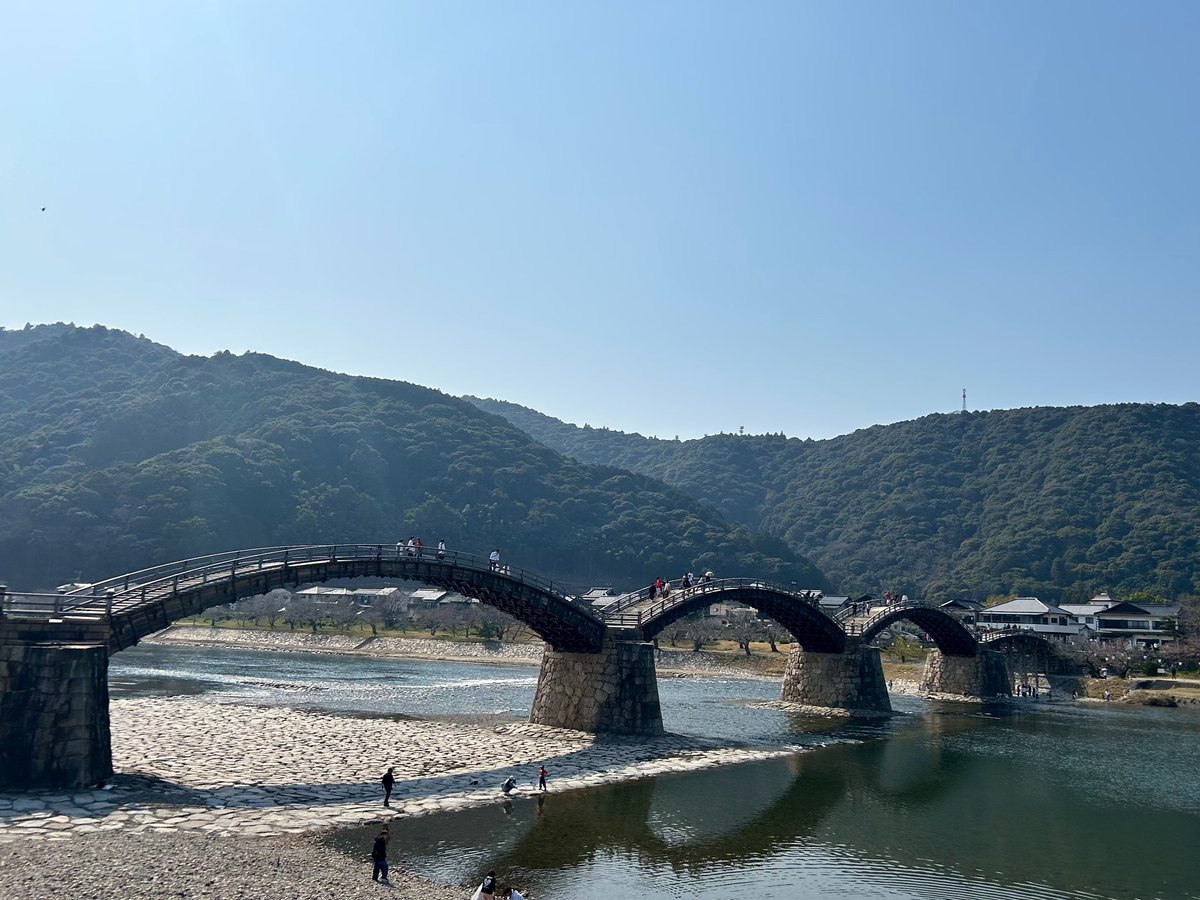 ykmeiling8811's tweet photo. 錦帯橋☝️
日本三名橋のひとつで、清流・錦川に堂々と架かる5連アーチが美しい木造の橋。1673年に岩国領主・吉川広嘉により建てられ、幾度かの流失を経て、その都度強度を増して再建。巻金とカスガイで組み合わせる高度な木組みの技術が素晴らしい。裏側から見ても圧巻！

釘を使ってない複雑な作り👍 https://t.co/wKIBsFfdJE