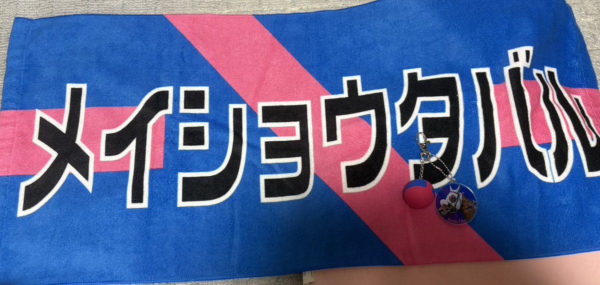 ameri72s's tweet photo. メイショウタバルとアドマイヤテラ頑張れー🙌🏻✨日本に無事に帰ってきてね https://t.co/JREfycpmXX