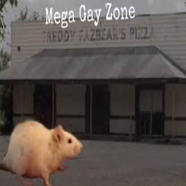 corvidspider's tweet photo. it’s my birthday and i’ll go to the MEGA GAY ZONE if i want to 🏳️‍🌈 https://t.co/PJXGAl9Kxg