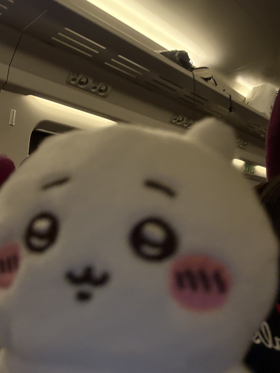 chiijuka's tweet photo. 야야~움파파 루라라~
으흐흠 후~ 타라리라~양파파 따라라 루르라 루르라
라르라르라~ https://t.co/zGvkgW3d96