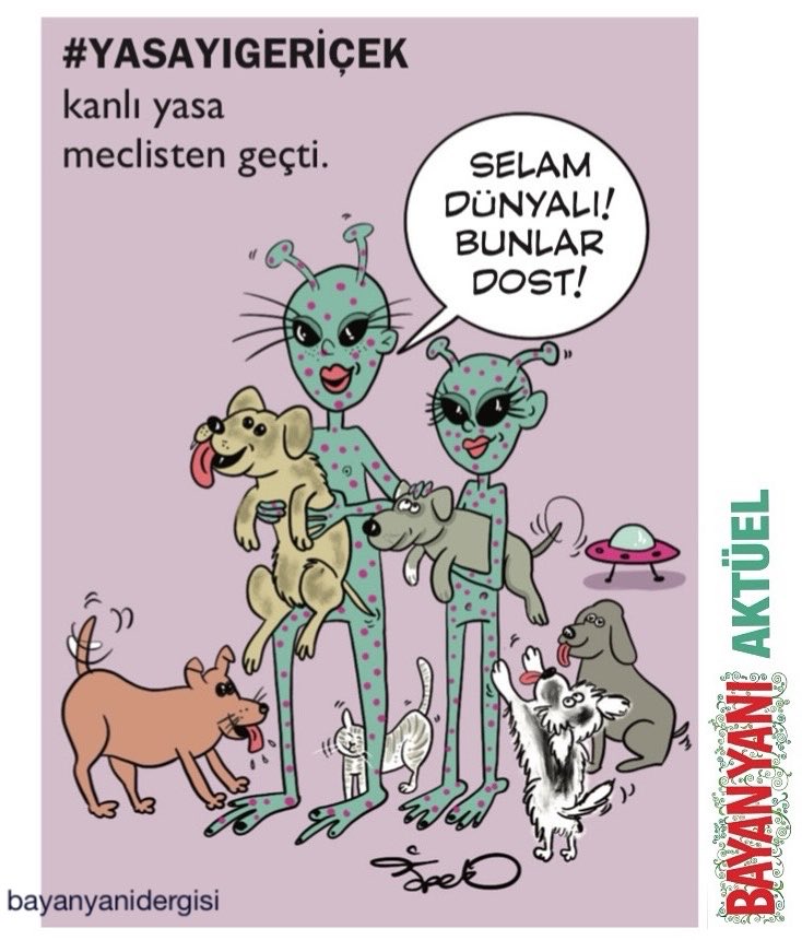 bayanyani's tweet photo. Uzaylılar hoş geldiniz. 🤝👽
#4ekimdünyahayvanlarıkorumagünü 🐈
#yasayıgeriçek 🐾🐕 #bayanyani #bayanyanidergisi
#sokakhayvanlarısahipsizdeğil 🐾 https://t.co/f1seo4r2uv