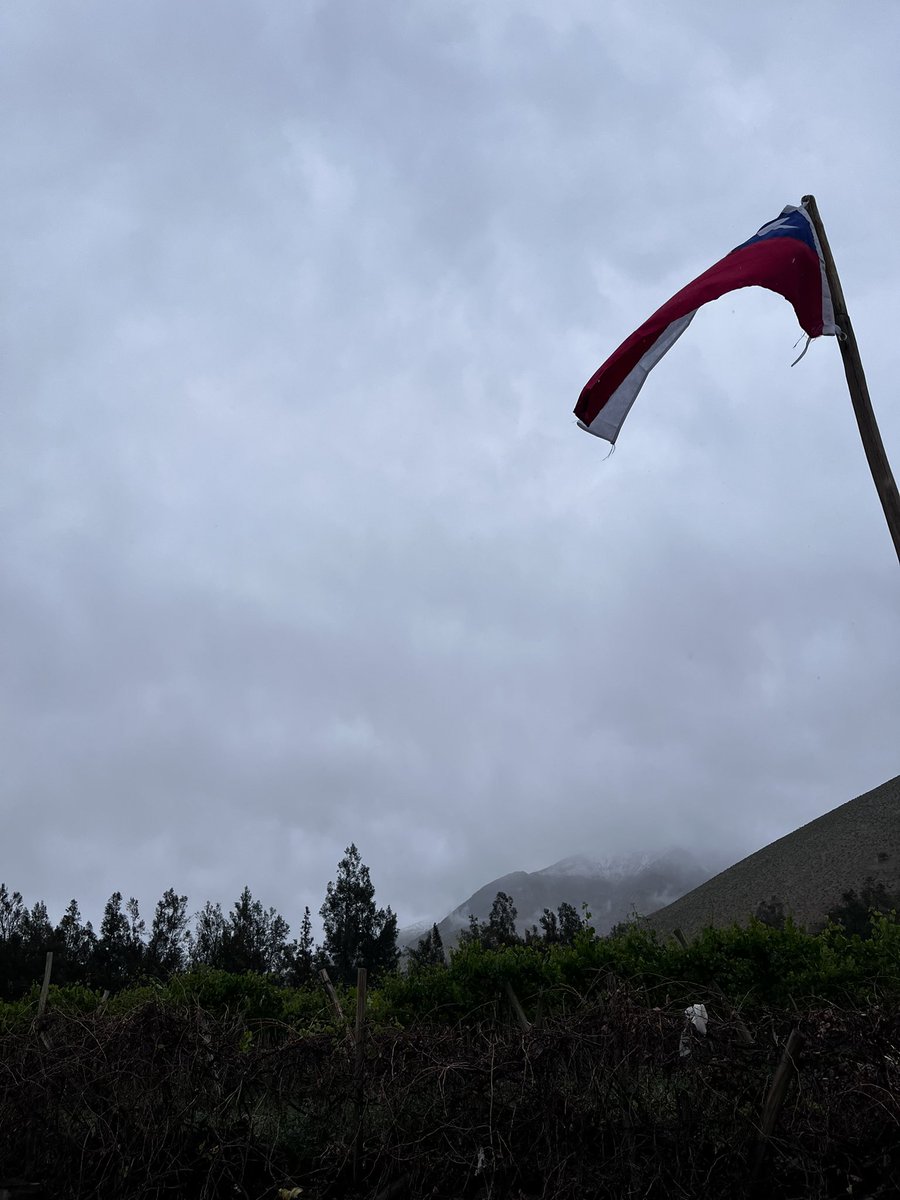 piscosommelier's tweet photo. A esta hora, llueve en Pisco Elqui! 🌧️ #lluvia #PiscoElqui https://t.co/ljSTXU8SPM
