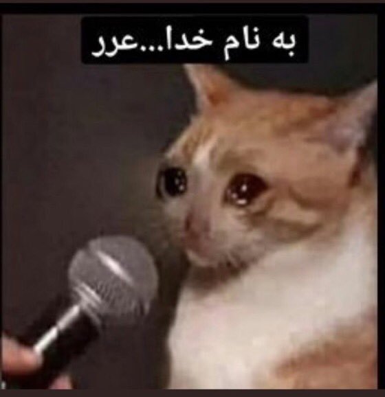 seyyed74's tweet photo. @amzipv چند ساله https://t.co/Ue3oO1ulUi