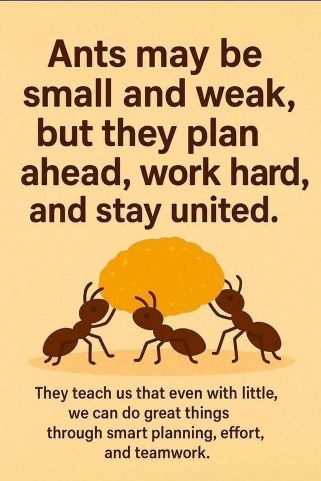 THEGREATABu75c's tweet photo. , 🤝🇰🇪🇰🇪🇰🇪
United ✊🇰🇪🇰🇪🇰🇪 https://t.co/MXz0S5AqFZ
