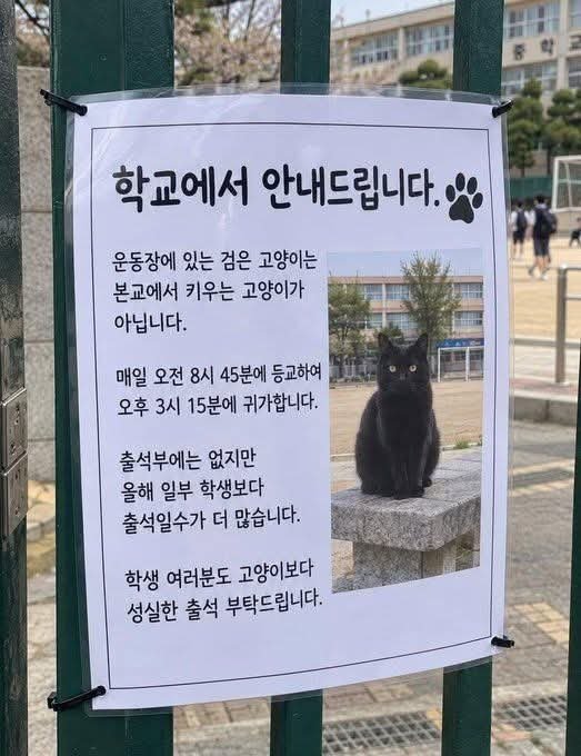 mindgood's tweet photo. 일부 학생보다 등교를 잘하는 냐옹이 ㅋ https://t.co/ODiyDENdtW