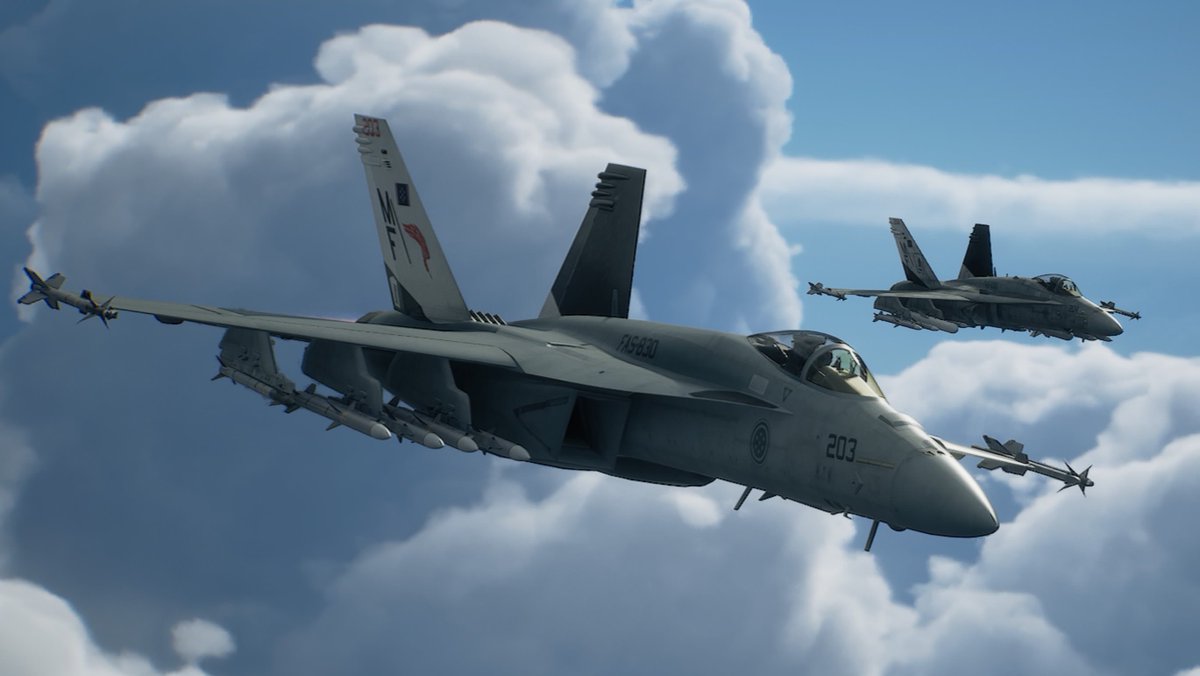 SergeantZyco0's tweet photo. #ACE_COMBAT8
スーパーなスズメバチ🐝 https://t.co/D4x3dWYPYd
