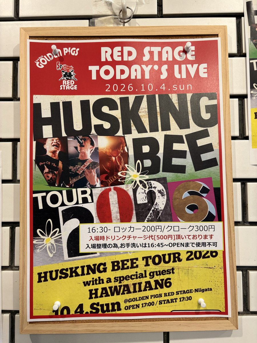 strawberrymomi's tweet photo. 本日は体調が思わしくなく壁際で大人見でした😀
良きライブでした😌
#HUSKINGBEE
#HAWAIIAN6 https://t.co/0Q7kgPFU22