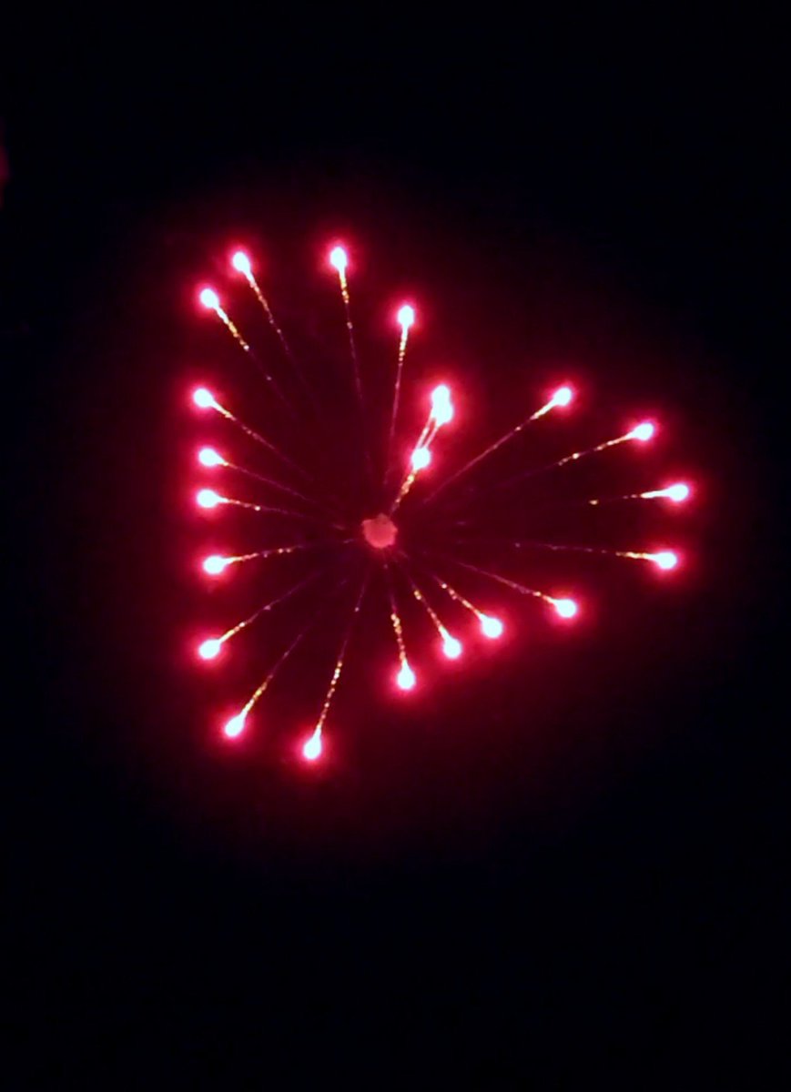 Petit__cosmo's tweet photo. 小さいお祭りけど、花火が最高なんよね。1,000発って絶対に数え方間違っとる🎆 https://t.co/FDZ0Ji2fP4