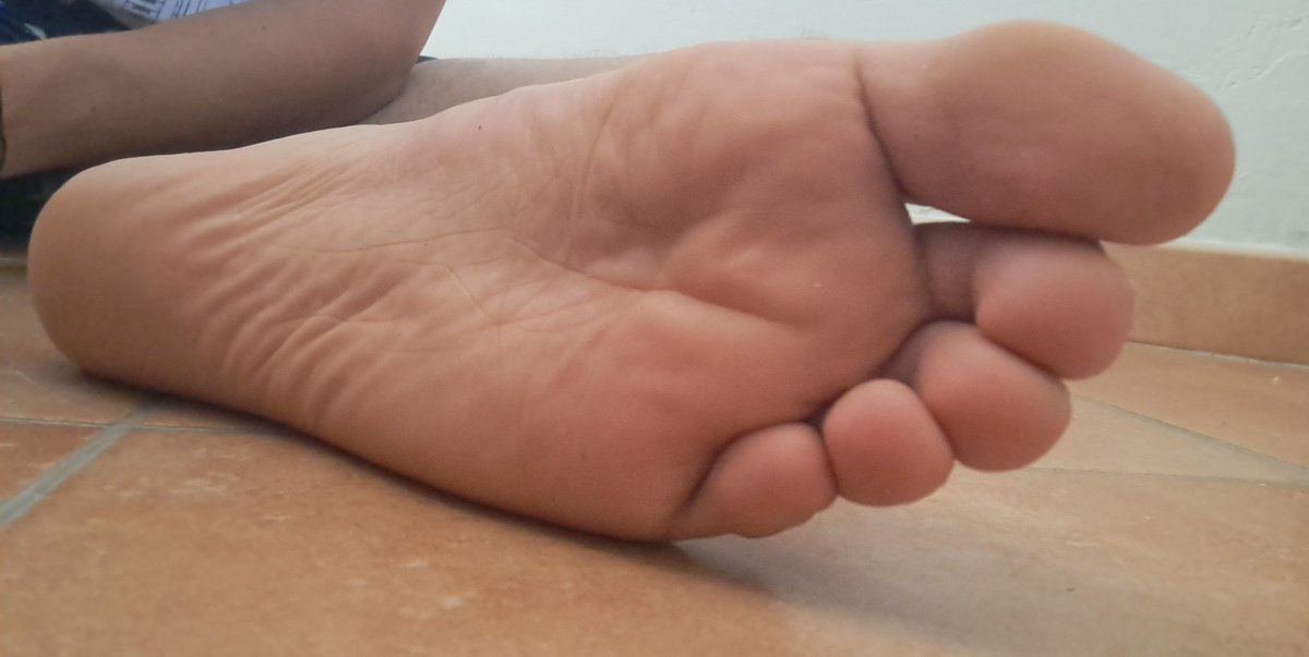socksfox tweet picture