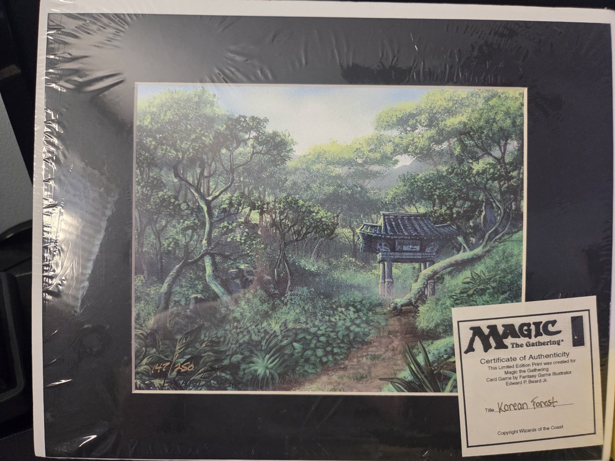 philip_j_fly's tweet photo. I met Ed Beard Jr. at the @michrenfest yesterday! Got this wonderful APAC Forest print and some Premodern cards signed 
#edwardpbeardjr #mtgsigned #mtgpremodern #premodern #apac https://t.co/oxNavK4PQf