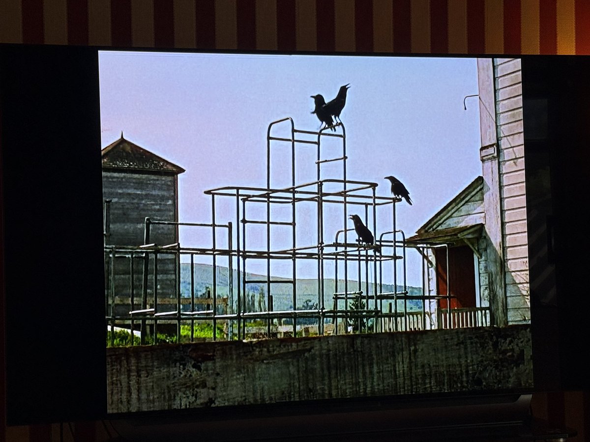 andecoro's tweet photo. Day 4 …. The Birds … masterclass by Hitchcock although this reaction shot is a bit clunky #DVD #Halloween #Hitchcock https://t.co/f3z1WGEztI