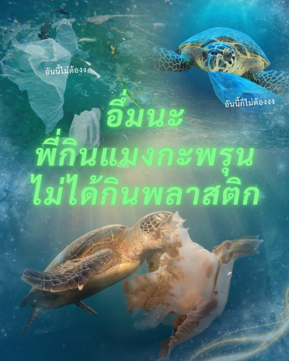 environmanth's tweet photo. ป่าวเจ๊​ หนูด่าตุ๊กตา😌
#WorldAnimalDay https://t.co/wleCkZHKl7