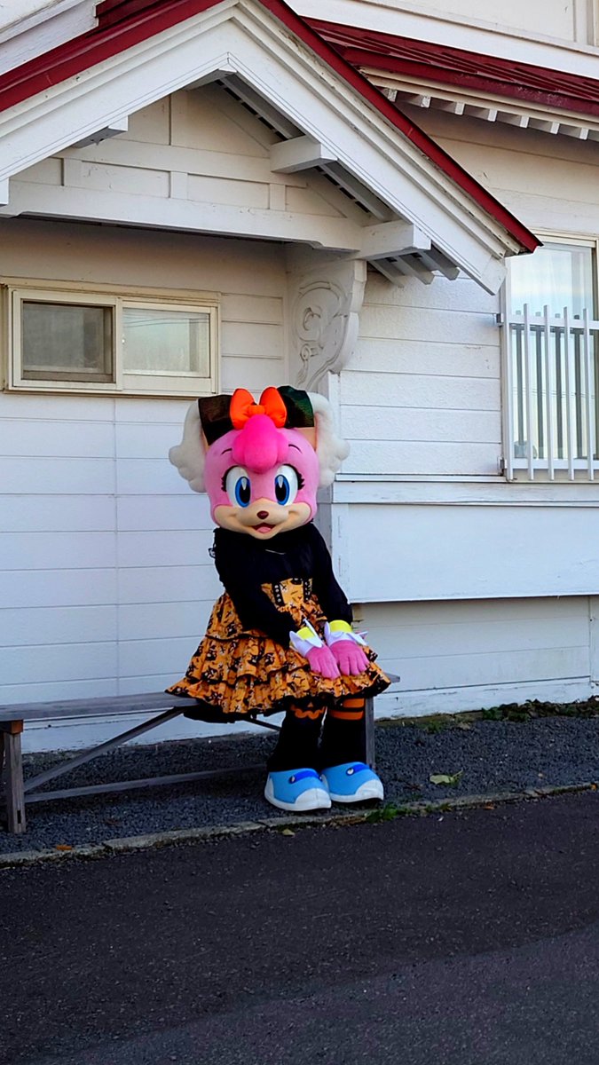 sakuraanoco's tweet photo. みなさーん今日もお世話になりました🙏
ありがとうございました☺️���
えいるちゃむさんに先週も今週もお会いできて夢みたいな天使の日でした- ̗̀꒰ঌ🩷໒꒱ ̖́-
たくさんお写真撮らせていただいてありがとうございました🙏
たくさん元気いただいて明日は私のお誕生日日勤頑張る感謝しがらおやすみなさい🙏 https://t.co/c6CmQ8X6QA
