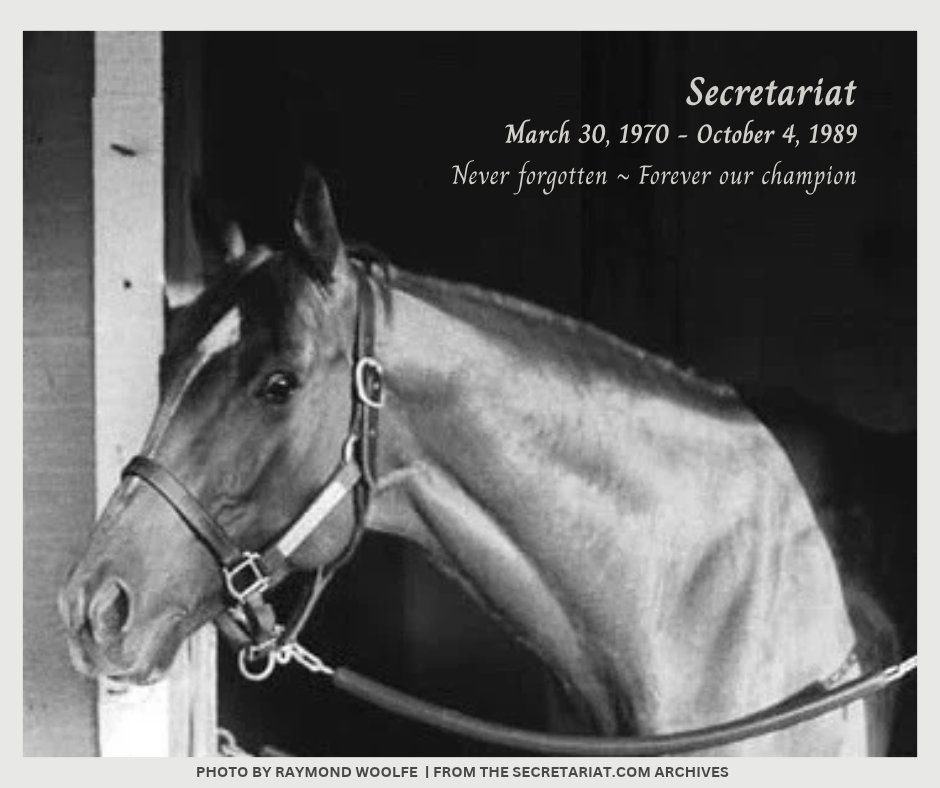 Secretariatprmr's tweet photo. Secretariat left us #onthisdate in 1989. We remain forever grateful the ways he thrilled and inspired us β and does still today. https://t.co/NxPkG4y8jf