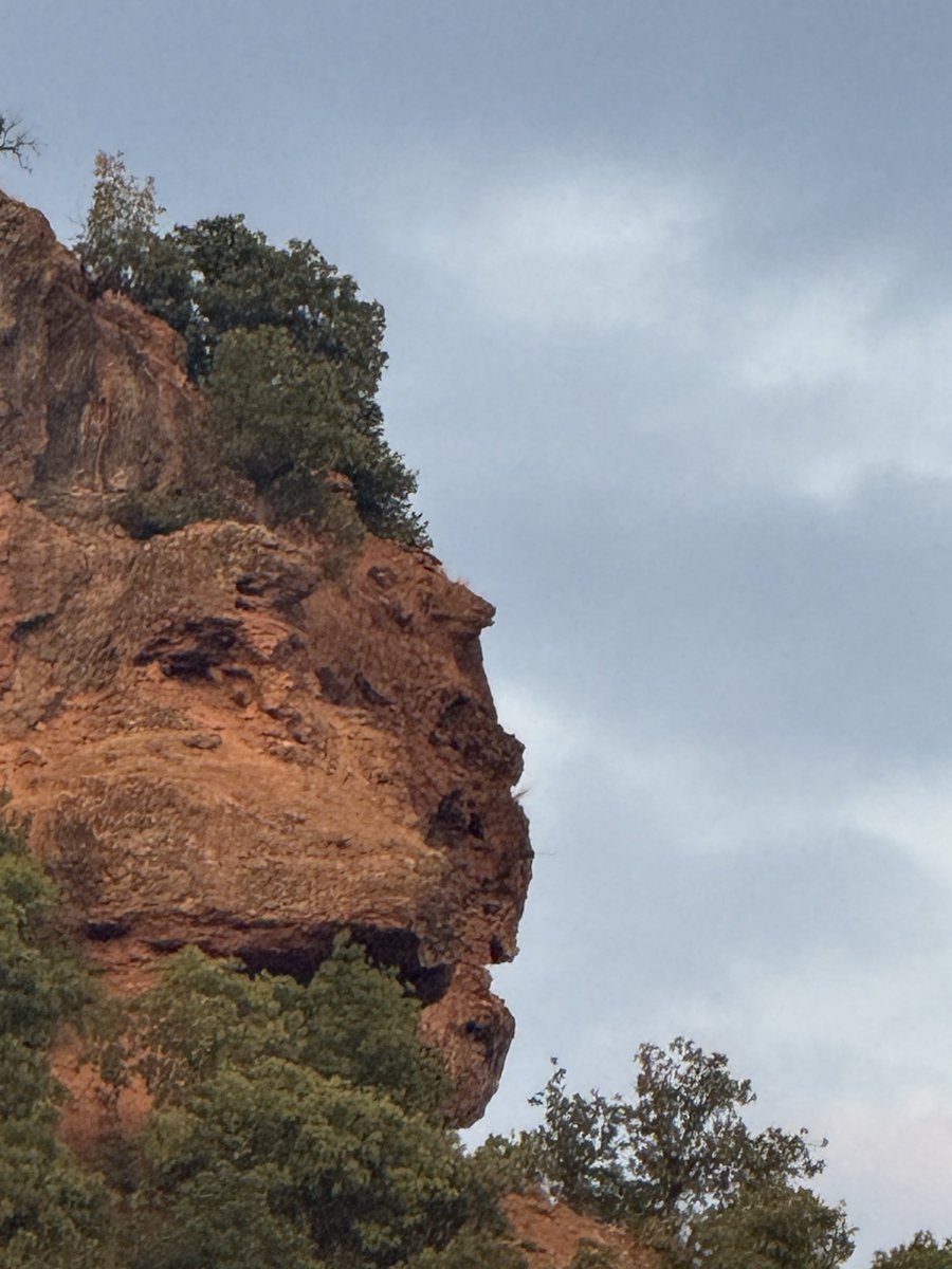 DoganCelik_'s tweet photo. Doğa her şeydir.

Gül, rüzgar ve deniz…
Toprak, gökyüzü, ağaçlar ve yaşam

#burgazada #dersim #dağlar https://t.co/9KUSvR0HeE