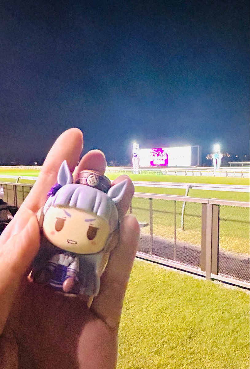 mirurea_05's tweet photo. 今年も凱旋門の応援に来ています。
頑張れ日本🇯🇵 https://t.co/8xT2W3ZlDl