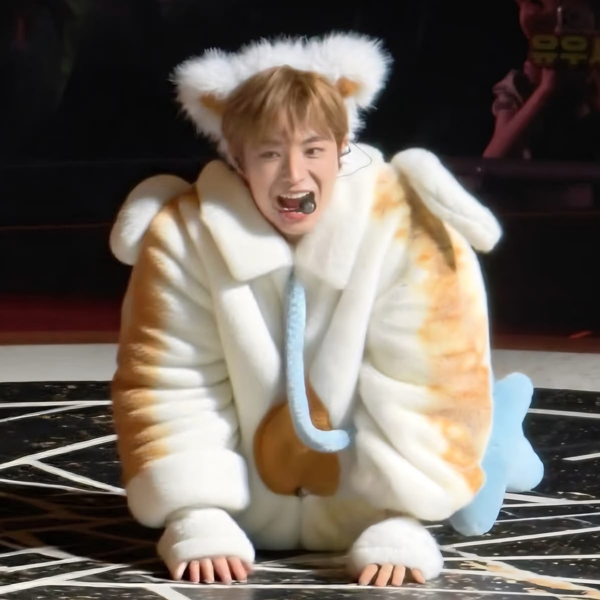 yyuuuushii's tweet photo. 아니 ㅅㅂ진짜어떡하냐 못키우는게원통함 https://t.co/IXHASQYUOB