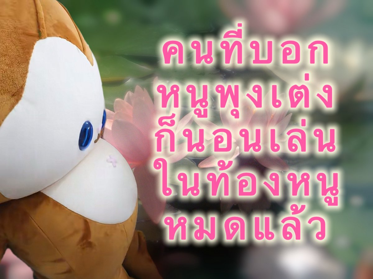 hhonghong_'s tweet photo. ใครพุงเต่งจ้ะ https://t.co/MvvO43jVku