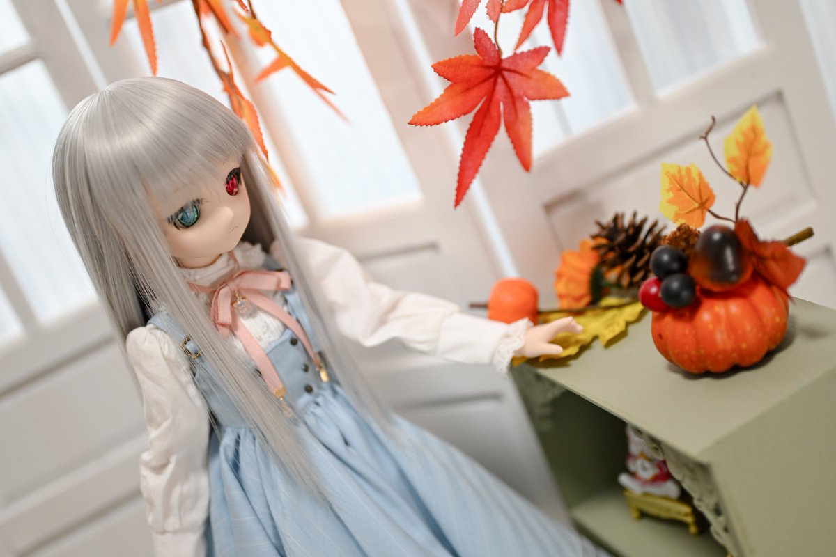 MomoSatuki's tweet photo. もうすぐ秋がくるかな？
#うちのこかわいい #MDDはいいぞ https://t.co/SBkWTqbMfH