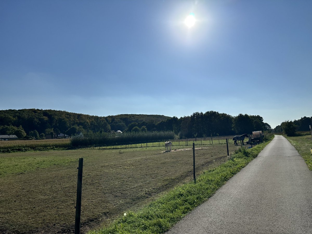 av8andco's tweet photo. 20 voor 16u Wezemaal #vrtweer https://t.co/8YTvElKCHD