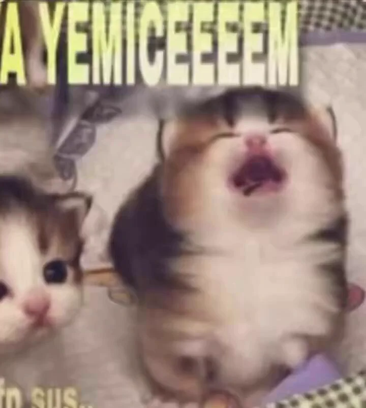 tayguntb's tweet photo. @magisthra onlari biliyosss panpa ne tetikledi seni tabldot menü verdi gene iyi ol :( https://t.co/i1EYYpNU2N