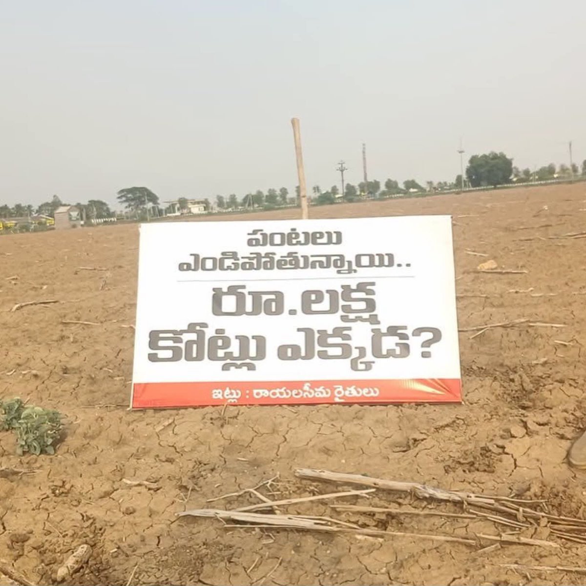 Anithareddyatp's tweet photo. పంటలు ఎండిపోతున్నాయి.. రూ. లక్ష కోట్లు ఎక్కడ..?
చంద్రబాబు ప్రభుత్వంపై రాయలసీమ రైతులు ఆగ్రహం 
సీమకు లక్ష కోట్ల పెట్టుబడి అంటూ ప్రభుత్వం హంగామా..
చంద్రబాబును ప్రశ్నిస్తూ.. బీడు భూముల్లో ఫ్లెక్సీ లు

#andhrapradesh #rayalaseema #farmers https://t.co/Wx7dw6H3mk