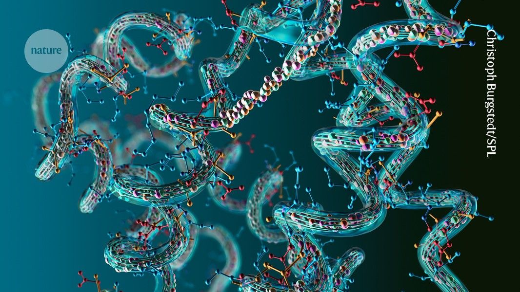 Ronald_vanLoon's tweet photo. Secret watermark labels proteins as ‘made by #AI’
by Elie Dolgin @Nature
Learn more: https://t.co/zz44ikg7Ot
#GenerativeAI #ArtificialIntelligence #MachineIntelligence #Biotechnology https://t.co/yijXLODAau