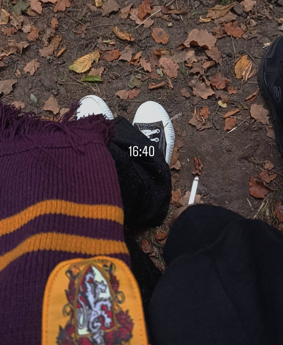 _sofoxy's tweet photo. гуляем @honyiol  📸🍂. https://t.co/hOzv5K5Gjq