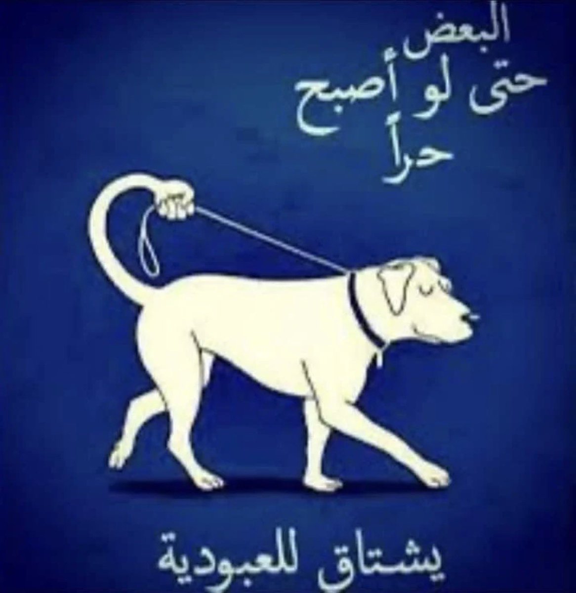b4t_l's tweet photo. اشتقنا https://t.co/9tsW33JBKp