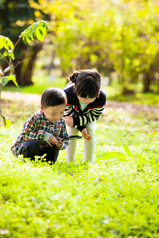 DenaWorthinpdt's tweet photo. [Hoy exploramos el parque juntos! Aprendemos a identificar 5 tipos de árboles y recolectar hojas bonitas. Qué actividad te gusta más con tus peques]， https://t.co/6bMDHmHwVC