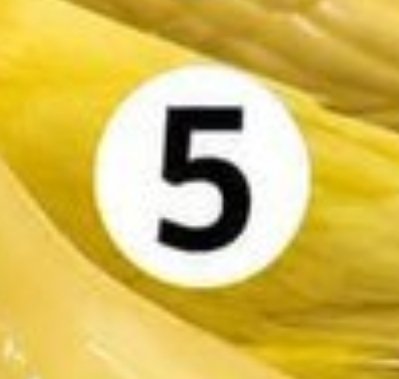 SaintBobby5's tweet photo. @itz_sona_here I think bird num five is a real one https://t.co/MqMnpn8ij2