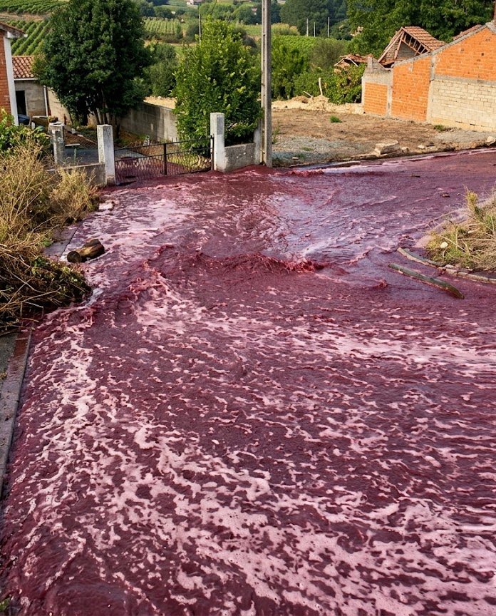 Christophek6c's tweet photo. A distillery tank failure in Anadia, Portugal, sent more than two million liters of red wine rushing through village streets, turning roads into a temporary river of wine. No one was hurt, and crews diverted the spill before it reached a nearby waterway. https://t.co/8aiyiIKXx6
