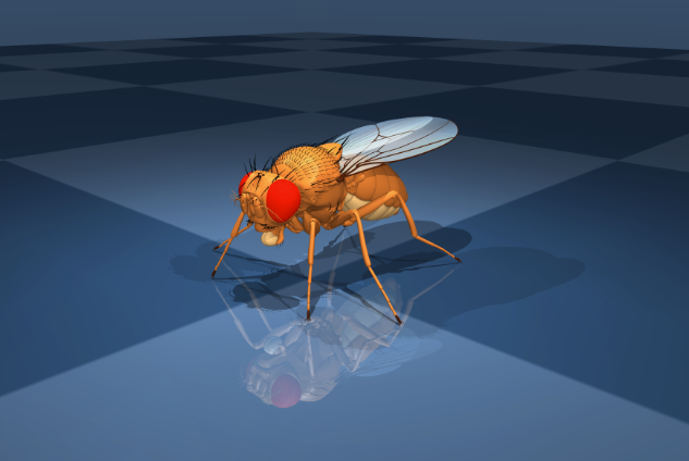fruitflydev's tweet photo. AI influencers, Super Intelligence, and a FLY! https://t.co/SJGDA6INjD