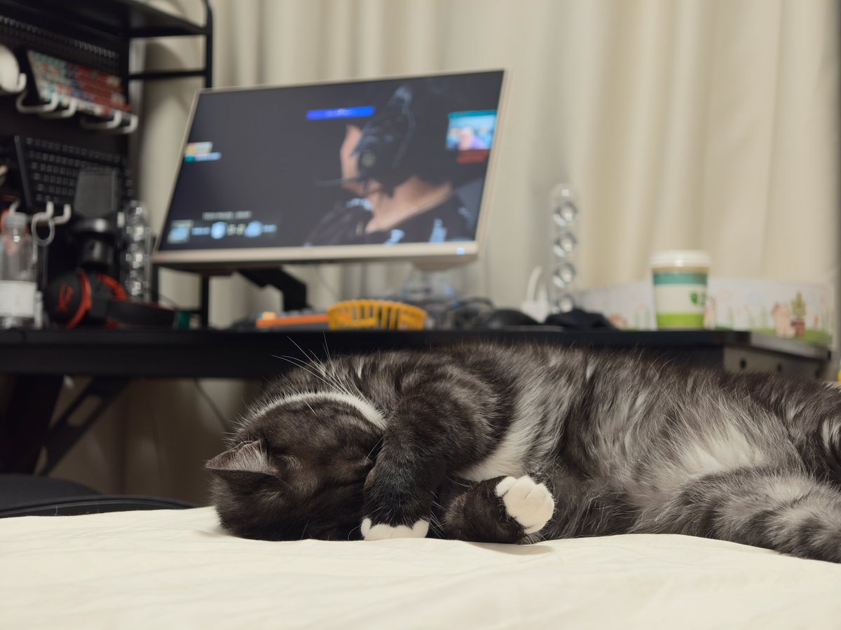 pingucat123's tweet photo. https://t.co/GlzzEz6p7C