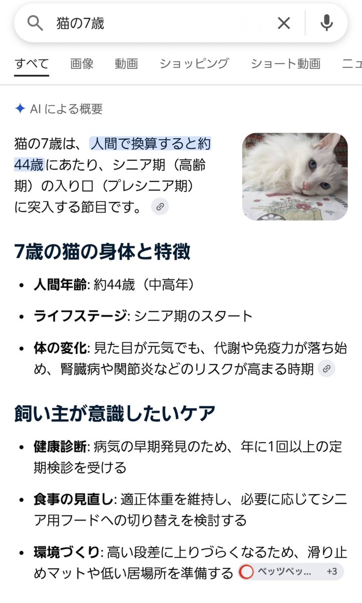 CAT_THE_FRIDAY's tweet photo. 人間の44歳は、シニアの入り口なのね( ；∀；) https://t.co/sgXk8S7bfb