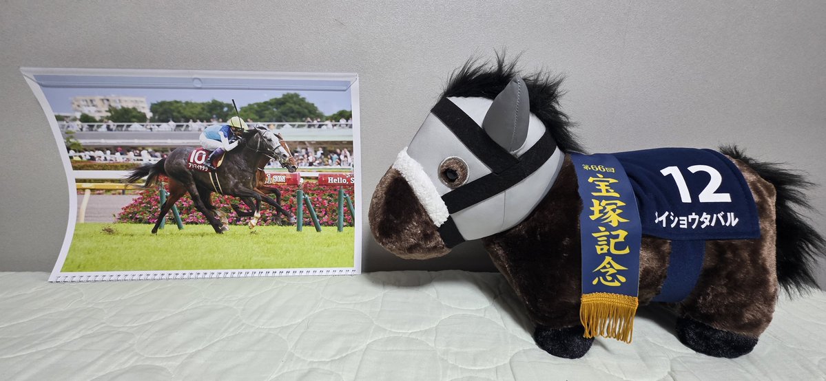 SENIORPOLICEMAN's tweet photo. 今年の凱旋門賞に出走する日本馬達のグッズ(メイショウタバル号のぬいぐるみ・アドマイヤ軍団のカレンダーよりアドマイヤテラ号のページ)を持って応援したいと思います。頑張れ！ https://t.co/nwIh7oabhO