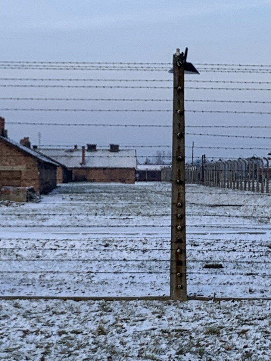 tomjhpark's tweet photo. Nazis killed:
• 3 Million+ Polish Jews
• 2.77 million non Jewish Poles

Soviets killed:
• 150K+ Poles post 1939.

Ukrainians killed:
• 100K+ Poles under Volhynia and greater area.

Poland still has 870K+ refugees and is protecting Eastern Europe. 

That is FORGIVENESS ❤️🇵🇱 https://t.co/Gv1ScpOtfg