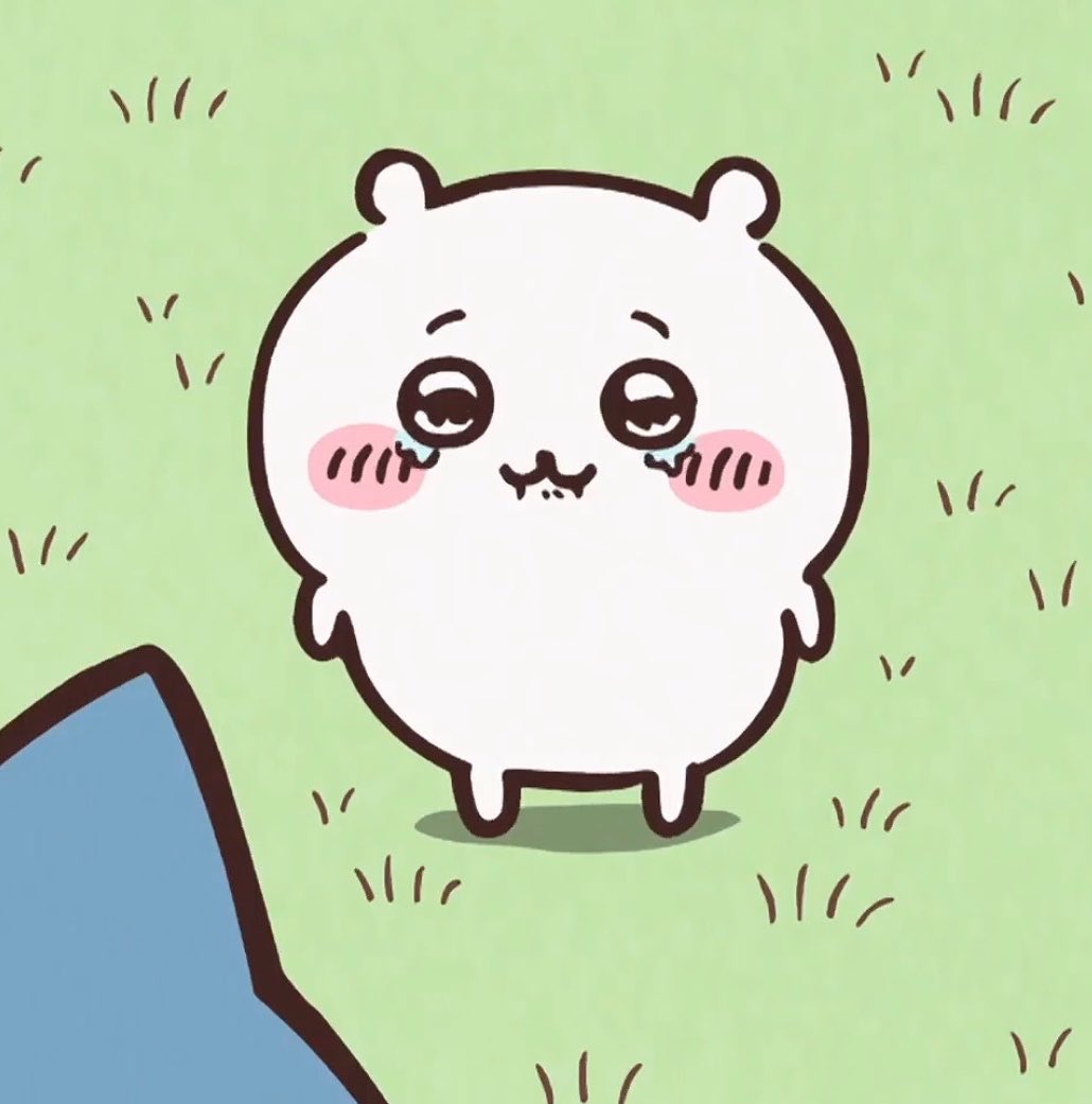 zeor_O_O's tweet photo. 저 짧은 다리로 무릎을 꿇었다는게 너무 폭력적으로 귀여움... https://t.co/LIfT8T3pNF