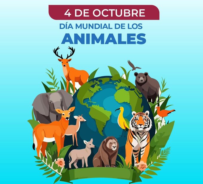 Azutecnia1's tweet photo. El 4 de octubre celebramos el Día Mundial de los Animales. Los animales nos enseñan a cuidar, amar y vivir en armonía con la naturaleza. https://t.co/GiWllFwOYB