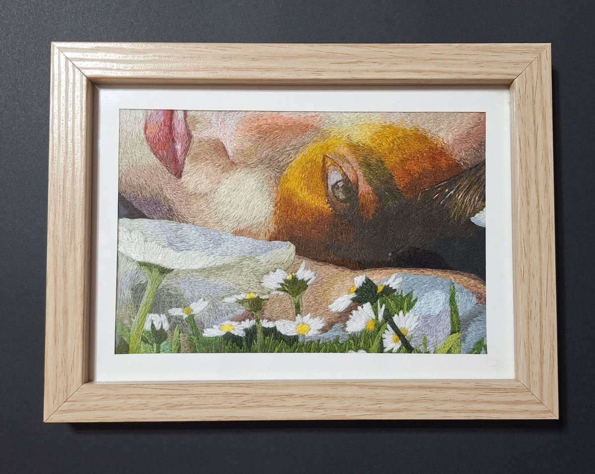 pilarfcx's tweet photo. mi regalito para @chiaraoliver hoy <3 después de 7 meses de bordado por fin está listo 🪡 https://t.co/e3Pgbh4k4z