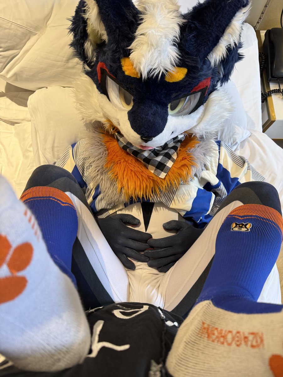 deborah36410176's tweet photo. 初壹好像完蛋了。#furry #战败 https://t.co/BYwKLvveOp