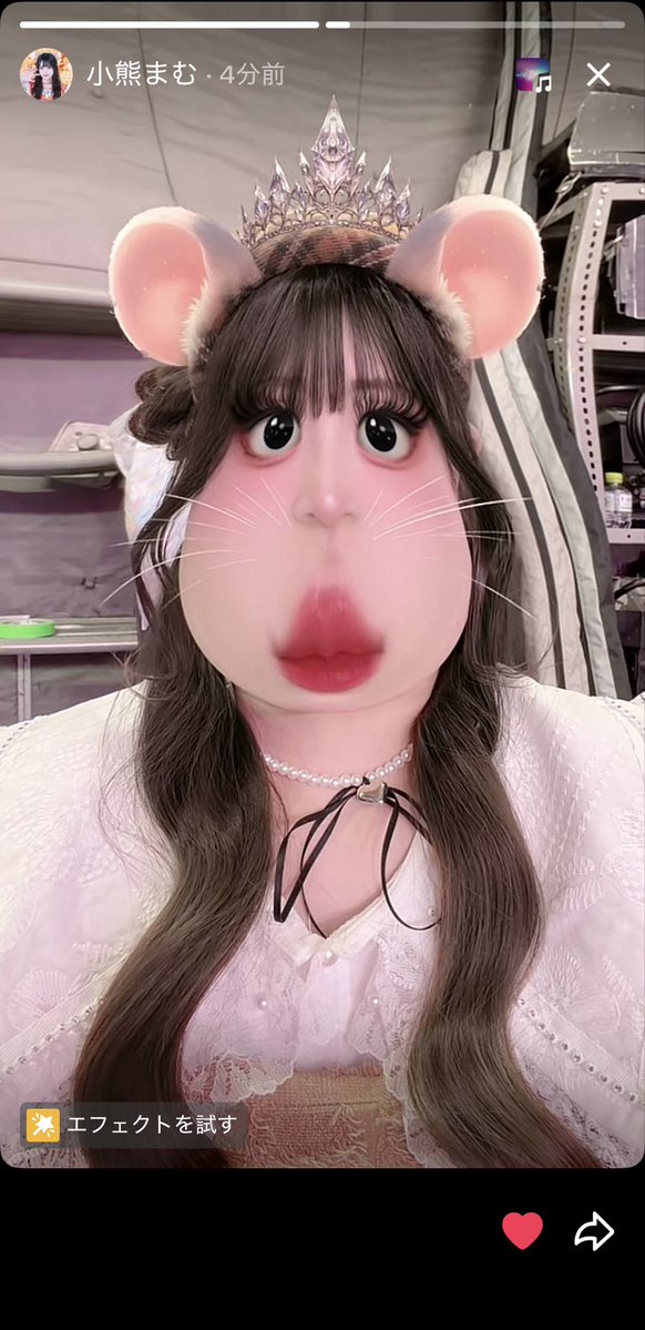 nonaru_10's tweet photo. ま、まむちなのか？笑
#まむい https://t.co/HPhEaBi5K3