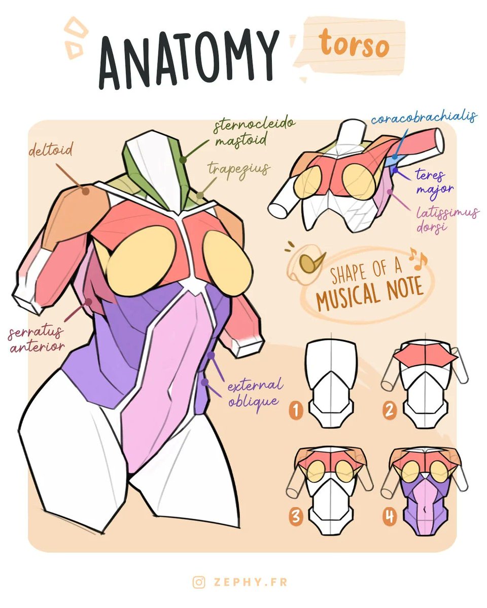 XPPEN's tweet photo. Anatomy practice time! ✨

Keep @zephy.fr’s studies handy when you’re sketching. 📌

Save it and start drawing! ✏️🎨

#XPPen #DrawWithXPPen #XPPenTutorial #ArtTips #DrawingAnatomy https://t.co/zByr1yIPMw