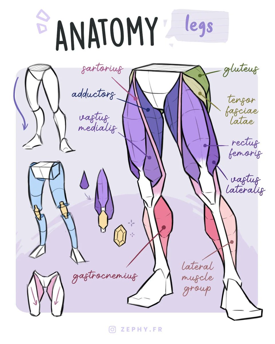 XPPEN's tweet photo. Anatomy practice time! ✨

Keep @zephy.fr’s studies handy when you’re sketching. 📌

Save it and start drawing! ✏️🎨

#XPPen #DrawWithXPPen #XPPenTutorial #ArtTips #DrawingAnatomy https://t.co/zByr1yIPMw